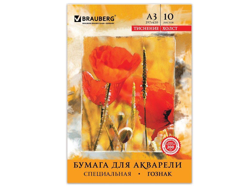 

Папка для акварели Brauberg А3 10 листов 125222, 125222