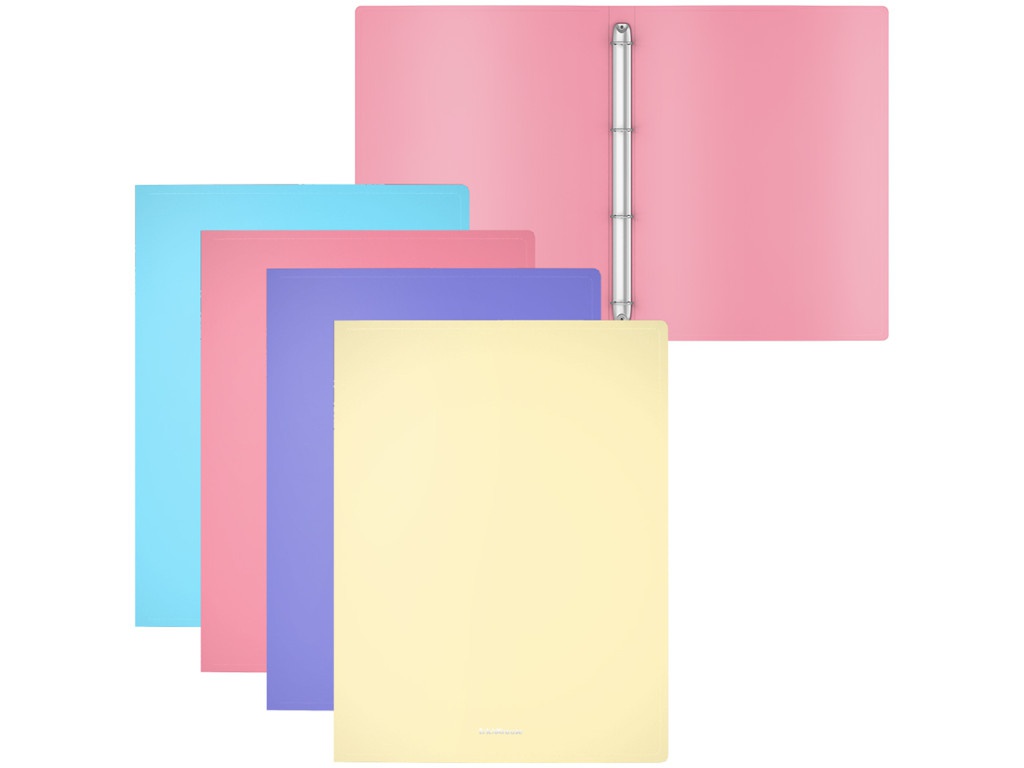 

Папка ErichKrause Pastel А4 49978, 49978