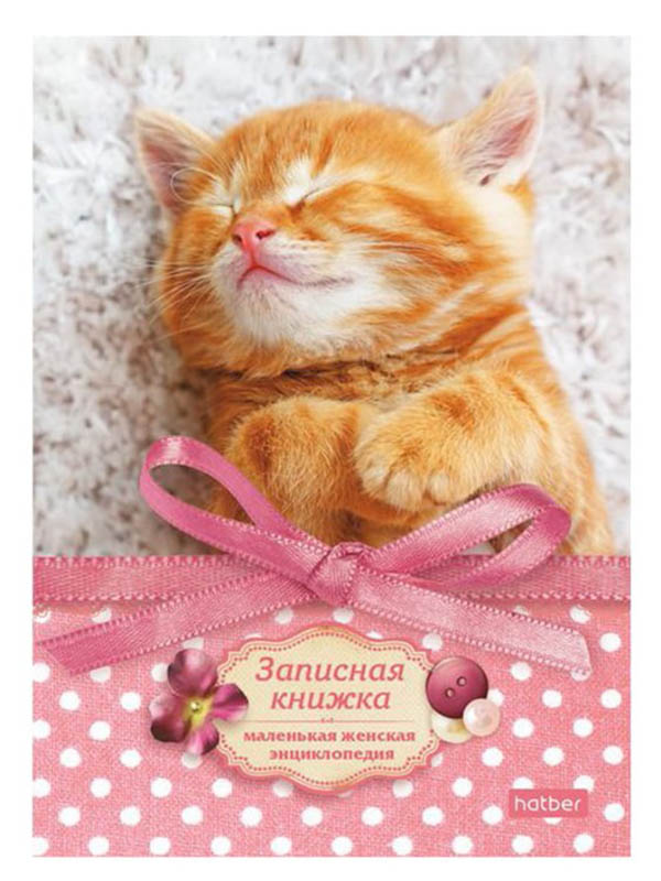 

Записная книжка женщины Hatber Котиков много не бывает A6 160 листов 160ЗКс6В_19065, Котиков много не бывает