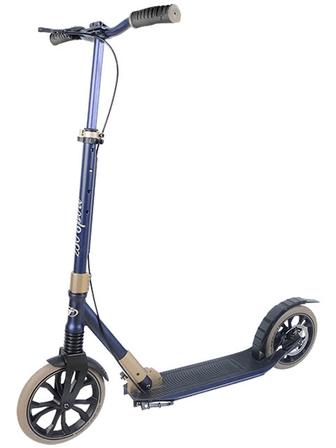 

Самокат Tech Team Sport 250R 2020 Purple-Gold, Sport 250R 2020