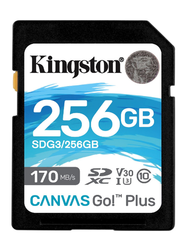 

Карта памяти 256Gb - Kingston SDXC 170R C10 UHS-I U3 V30 Canvas Go Plus SDG3/256GB, SDG3/256GB