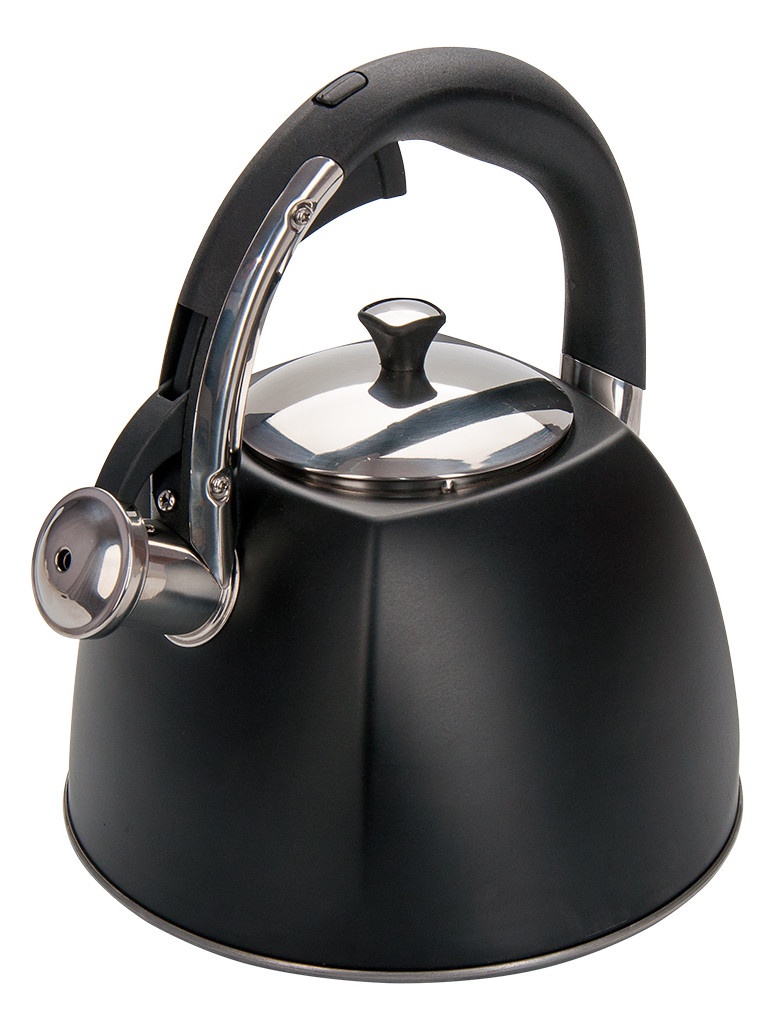 фото Чайник regent inox tea 3l 93-tea-31