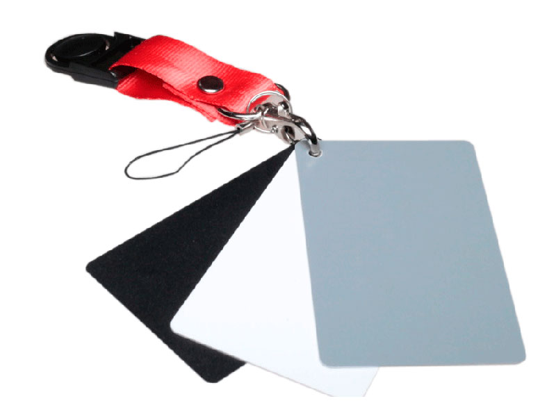 Набор карт для баланса белого Fujimi DGC-1 Digital Gray Cards 997 пасьянс оракул 20 карт