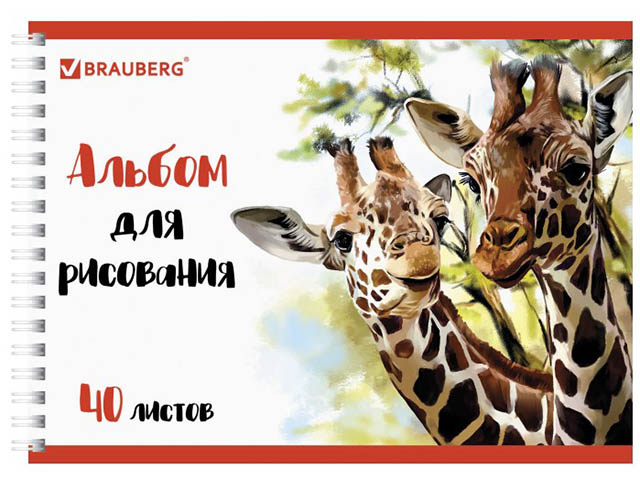 

Альбом для рисования Brauberg Эко Жирафы 205x290mm А4 40 листов 105104, 105104
