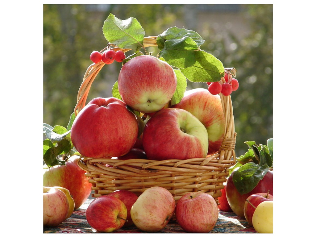 

Картина по номерам Картина по номерам Molly Аромат осени 30x30cm KH0721, Аромат осени