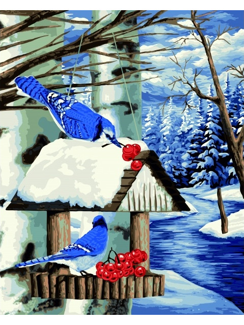 

Картина по номерам Русская Живопись Птичья кормушка 40x50cm L031, Птичья кормушка L031
