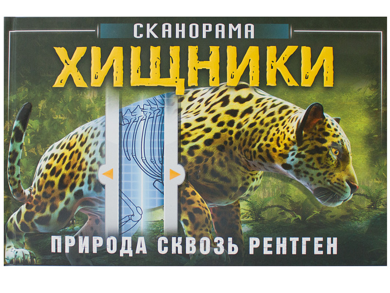 

Пособие Мозаика-Синтез Сканорама. Природа сквозь рентген. Хищники МС11798, Сканорама