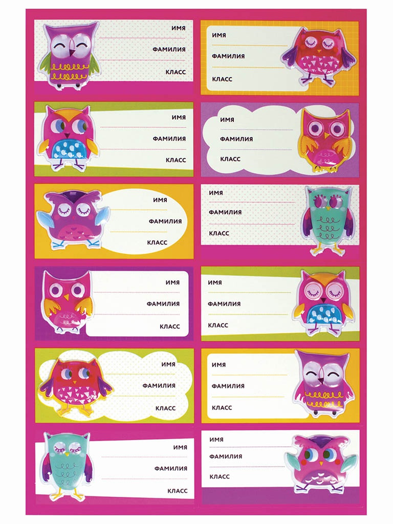 

Пособие Наклейки для маркировки школьных принадлежностей Юнландия Совы 14х21cm 12шт 662710, Совы 662710