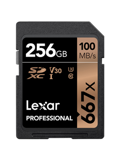 фото Карта памяти 256gb - lexar professional sdxc 667x uhs-i class 10 u3 v30 lsd256b667