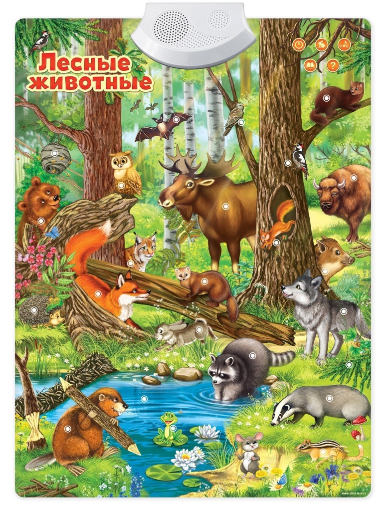 Звуковой плакат Zabiaka Лесные животные 3524462 плакат животные россии 555х774