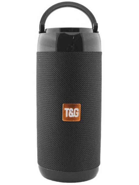 Zakazat.ru: Колонка T&G TG-113C Black