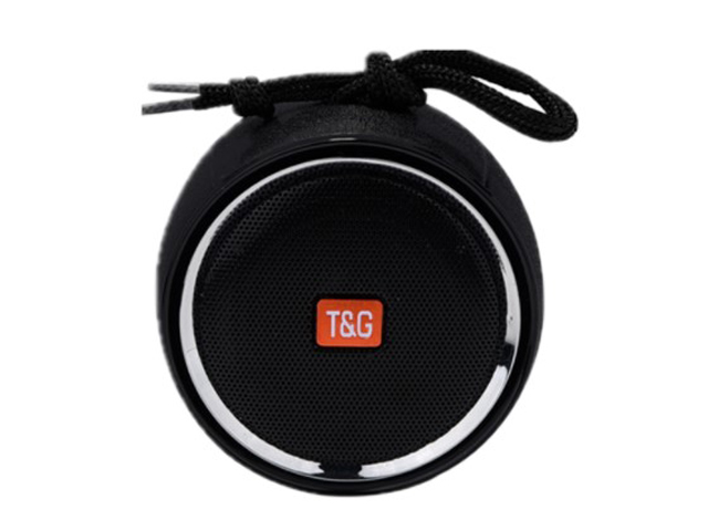 Zakazat.ru: Колонка T&G TG-536 Black