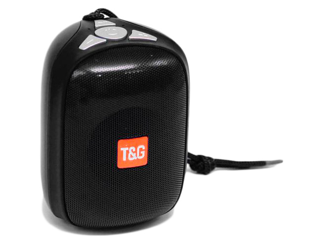 Zakazat.ru: Колонка T&G TG-609 Black