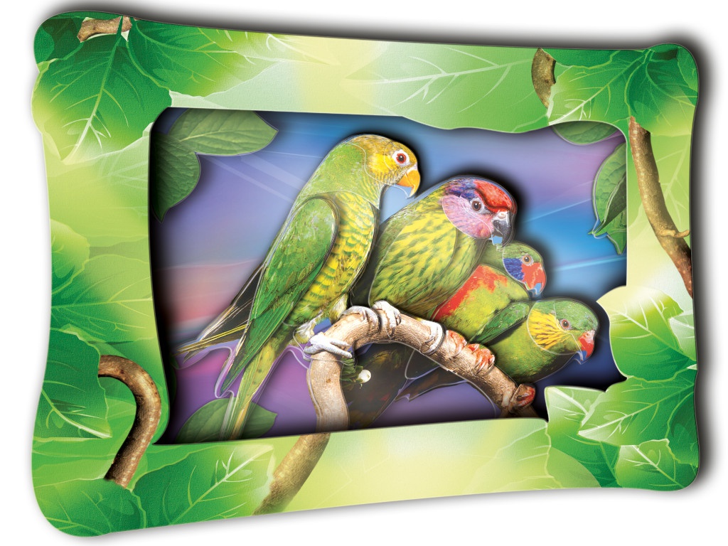 фото Объемная картинка vizzle амазонские попугаи к0007