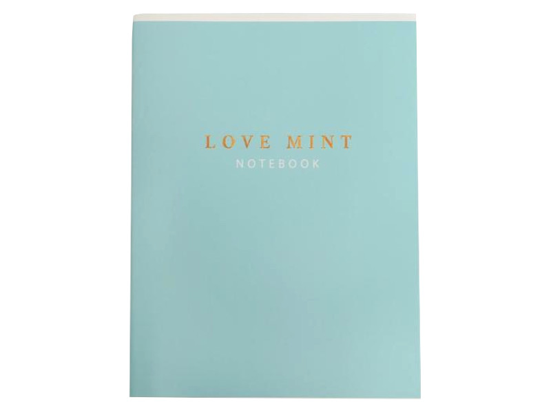 

ArtFox Колледж-тетрадь Love mint А4 96 листов 6712924, 6712924