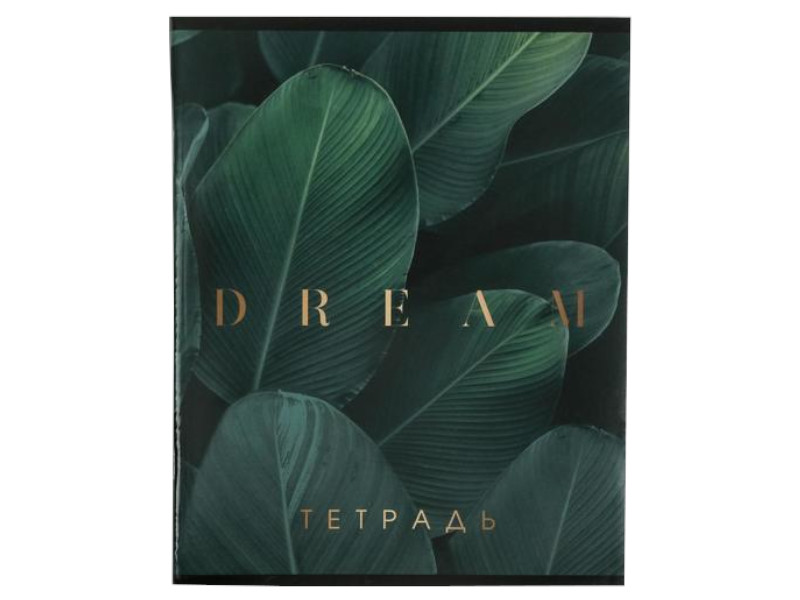 

Тетрадь ArtFox Dream А5 96 листов 5515253, 5515253