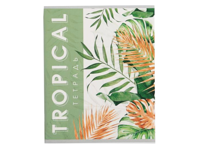 

Тетрадь ArtFox Tropical А5 96 листов 5515254, 5515254