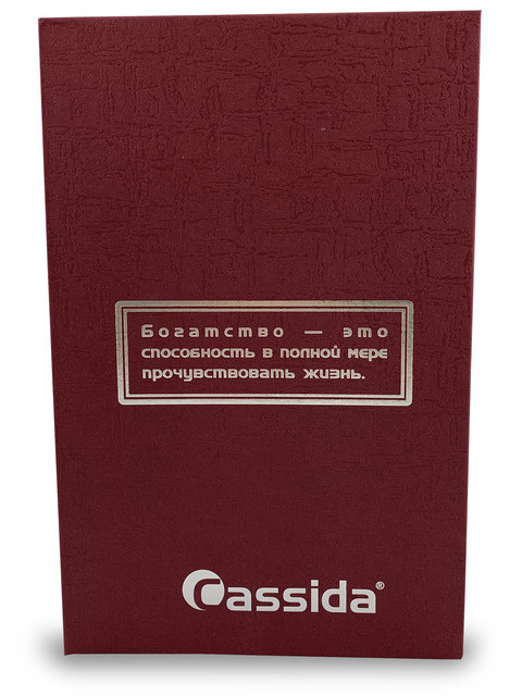 Сейф-книга Cassida Premium с кодовым замком, большая