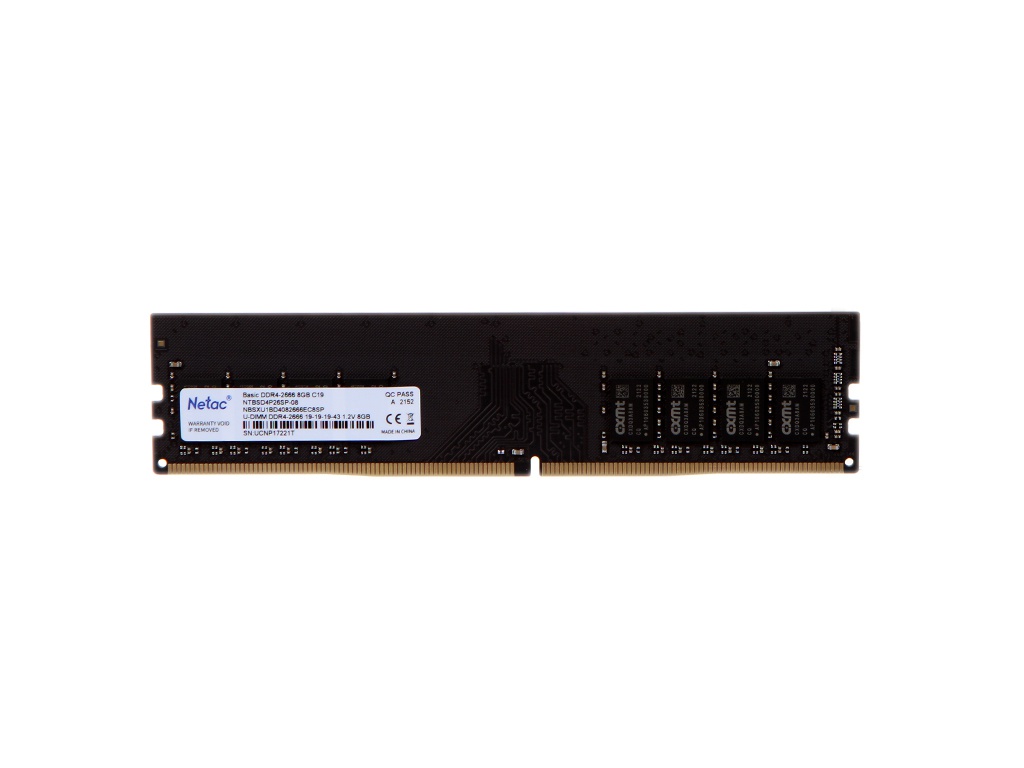Модуль памяти Netac DDR4 DIMM 2666Mhz PC21300 CL19 - 8Gb NTBSD4P26SP-08 модуль памяти ddr 4 dimm 8gb 2666mhz ocpc xt ii mmx8gd426c19w cl19 white