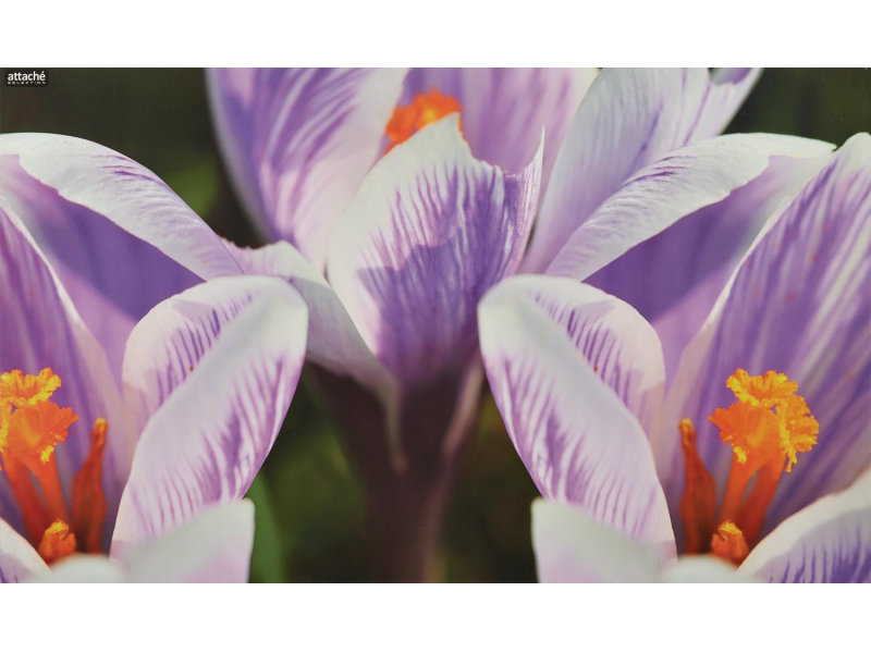 Коврик на стол Attache Selection Crocus цветок 350x590mm 1277769