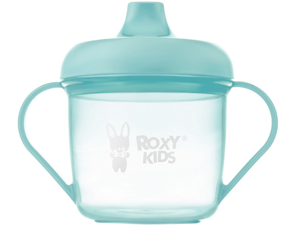 Кружка-поильник с носиком Roxy-Kids Mint RFD-005-B