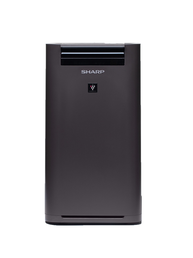 

Очиститель Sharp KCG41RH, KCG41RH