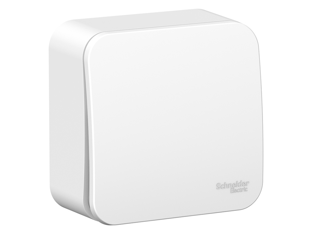 

Выключатель Schneider Electric SE Blanca 10А 250V White SE BLNVA101011, SE BLNVA101011