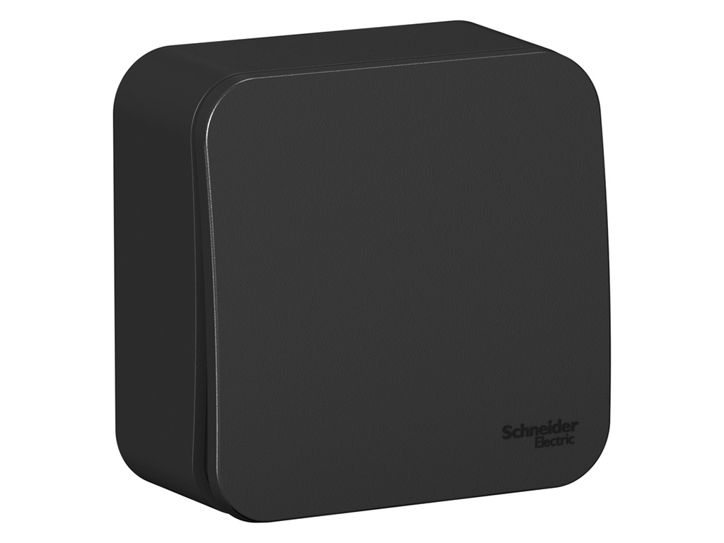 

Выключатель Schneider Electric SE Blanca 10А 250V Anthracite SE BLNVA106016, SE BLNVA106016