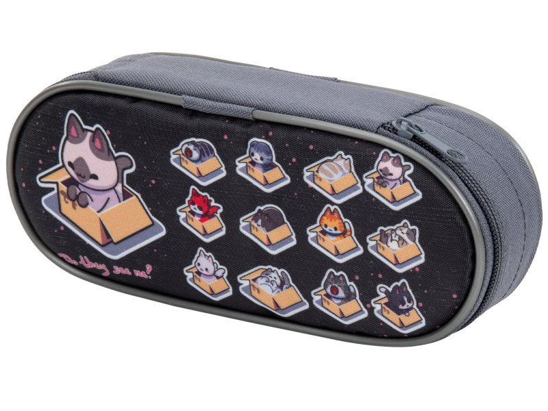 

Пенал Brauberg Cat in Box 271034, 271034