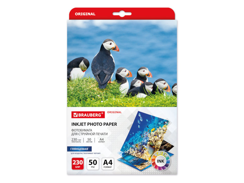 

Фотобумага Brauberg Original A4 230g/m2 глянцевая 50 листов 363990, 363990