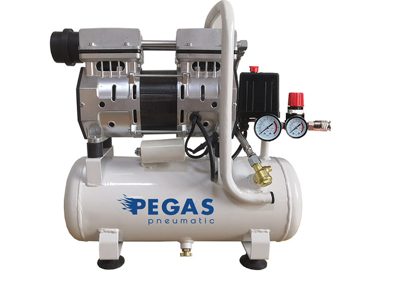 Компрессор Pegas PG-601 6615 цена и фото