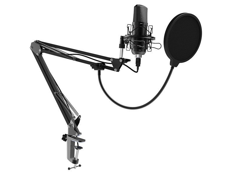 Микрофон Ritmix RDM-169 микрофон ritmix black rdm 155