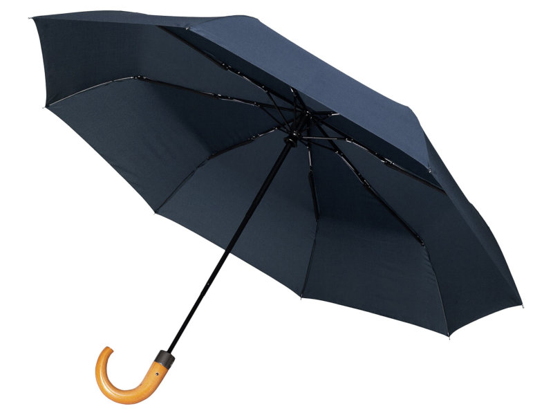 

Зонт Molti Classic Dark Blue 17318.40, Classic