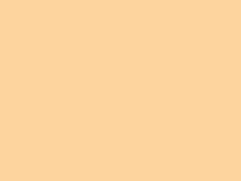 

Фон Fujimi 100x200cm Orange FJS-PVCO1020 / 1713, FJS-PVCO1020