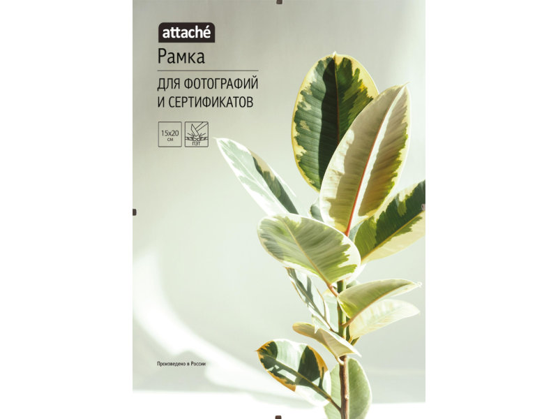 

Рамка Attache 15х20cm 1603602, 1603602