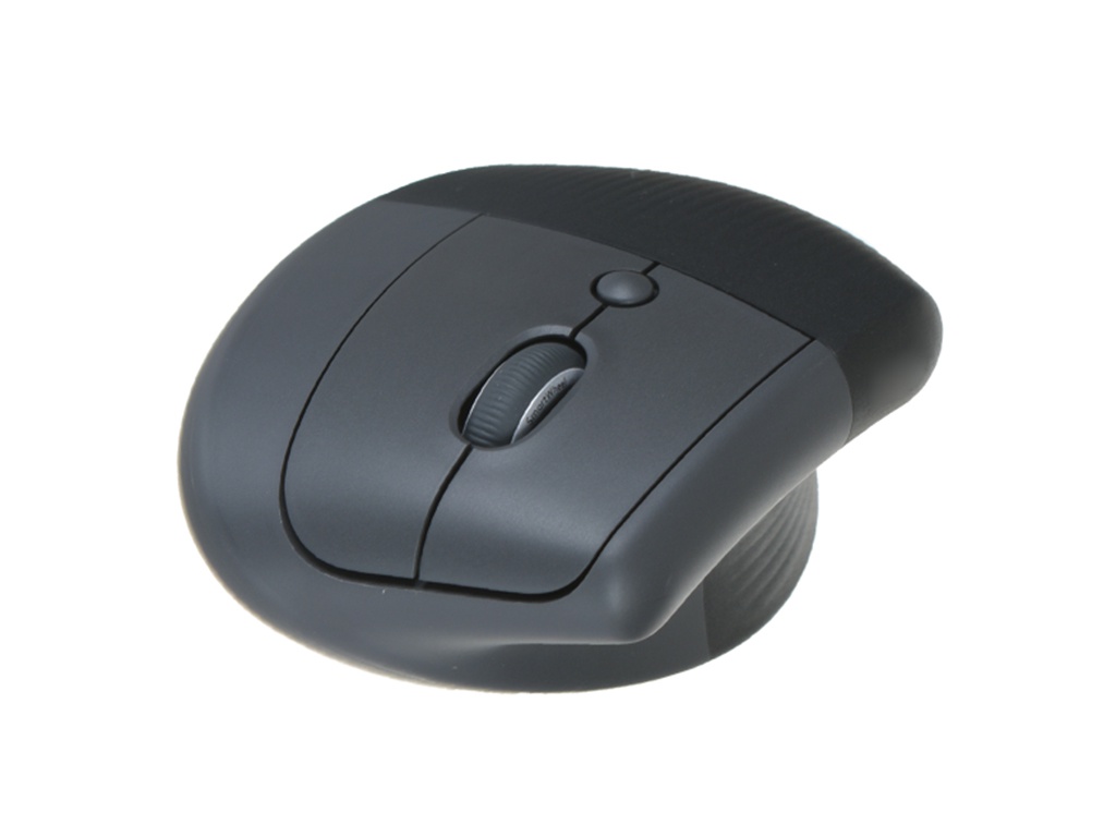 фото Мышь logitech lift graphite 910-006473