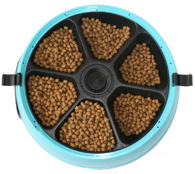 фото Автоматическая кормушка Feed-Ex PF6B Blue для животных