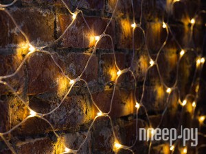 Фото Neon-Night Сеть 2x1.5m 288 LED Warm-White 215-046