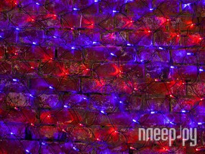 Фото Neon-Night Сеть 2x1.5m 288 LED Red-Blue 215-023