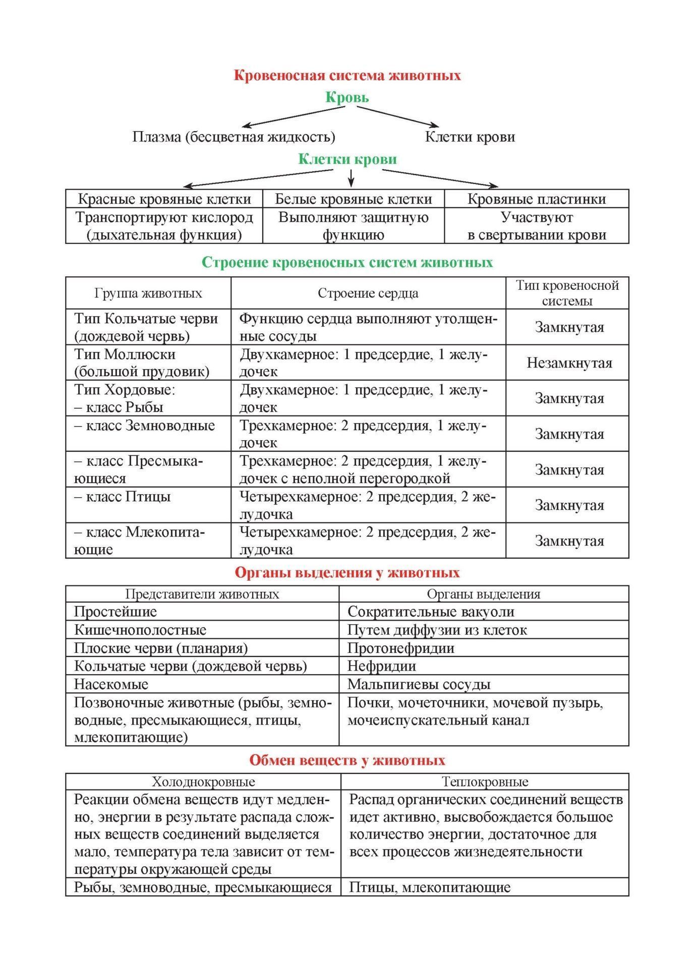 5 терминов по биологии. Биология 6 класс Пасечник основные термины и понятия. Основные термины по биологии. Биология 7 класс основные термины и понятия. Основные понятия по биологии 7 класс.